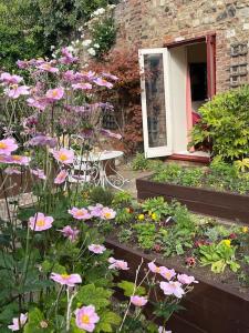 a garden with pink flowers in front of a building at Centre of town House 3 Bedrooms Sleeps 5 and Infant Free Onsite Parking 2 Cars in Kings Lynn +5 photos