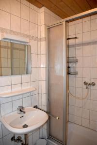 La salle de bains est pourvue d'un lavabo et d'une douche. dans l'établissement Pension Bergbauer, à Prackenbach