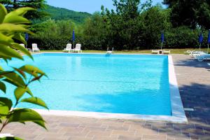 una gran piscina con agua azul y sillas en Citrigni, en Peschici