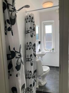 a bathroom with a toilet and a shower curtain at Professor Labri Apartments in Odense