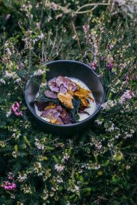 a bowl of food sitting on the grass at Agriturismo Ferdy in Lenna