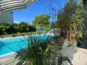 ein Pool mit Sonnenschirm und einige Pflanzen in der Unterkunft Pool & Lake Holiday Home in Markkleeberg