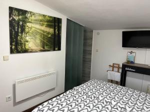 1 dormitorio con 1 cama y TV de pantalla plana en Rooms Horvat, en Krapina