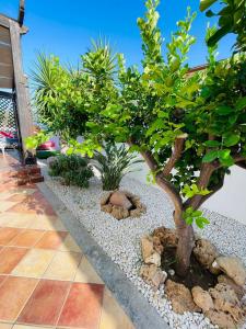 En hage utenfor Villa "Lido Valderice" by Xenia Sicily Villas