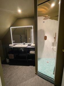 W łazience znajduje się umywalka oraz prysznic z lustrem. w obiekcie Maison du Thabor w mieście Rennes