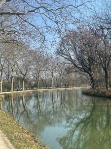 Studio - Centre de Villefranche de Lauragais في فيلفرانش-دو لوراجيه: بركة في حديقة فيها أشجار في الخلفية