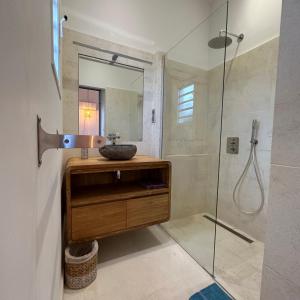 La salle de bains est pourvue d'un lavabo et d'une douche. dans l'établissement La Villa Miranda Meublé de Tourisme 4 *, à Saint-Gilles les Bains