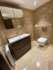 uma casa de banho com um lavatório, um WC e um espelho. em Casa Dintre Brazi em Frumosu