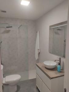 La salle de bains est pourvue de toilettes, d'un lavabo et d'une douche. dans l'établissement DIVINA GUEST HOUSE, à Manzanares