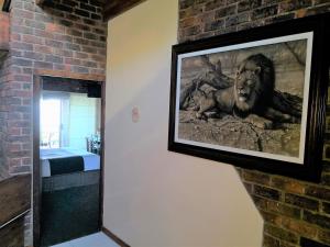 Fotografie z fotogalerie ubytování Tsitsikamma on Sea Resort v destinaci Witelsbos