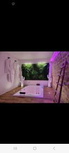a room with a bath tub in a room at Romantique room in Charleville-Mézières