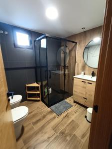een badkamer met een douche, een toilet en een wastafel bij LOS PEPINOS ( mi lugar favorito ) in Zamora
