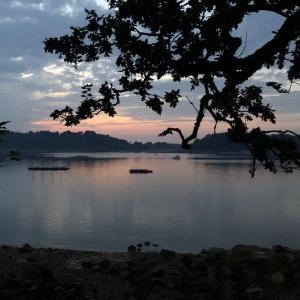 uma vista para um lago com uma árvore no primeiro plano em Les chambres du Roc'h Hir à Loguivy de la Mer em Ploubazlanec