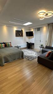 1 dormitorio con cama, sofá y TV en Studio with sauna, en Ámsterdam