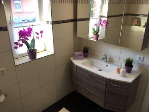 a bathroom with a sink and a mirror and potted plants at Ferienwohnung Madlein in Rehna