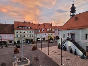 a view of a town with buildings and a street at Rynek 31 in Lubomierz