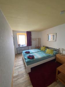 een slaapkamer met een groot bed in een kamer bij small accomondation with possibility for wellness in Beverungen