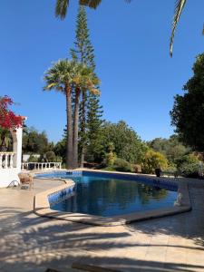 a swimming pool with two palm trees in a yard at Casa Paraiso studio salon coin repas kitchenette extérieure grande terrasse privée jardin et piscine près des plages de FUSETA et de la RIA FORMOSA in Moncarapacho