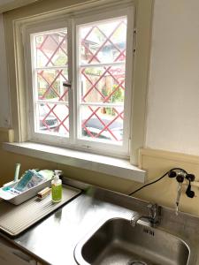 eine Küche mit einem Waschbecken und einem Fenster in der Unterkunft 1 - 2 Zimmer in historischem Altstadthaus in Freudenstadt