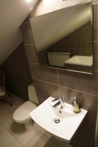 a bathroom with a sink and a toilet and a mirror at Świerkowe Zacisze Nałęczów in Nałęczów