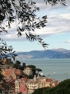 a view of a city and the water at Silent Bay Apartments in Sestri Levante
