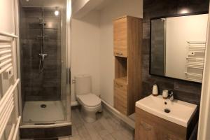 een badkamer met een douche, een toilet en een wastafel bij Appartement 4 a 6 pers entre Toulouse et Albi in Buzet-sur-Tarn