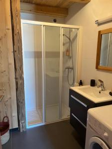 een badkamer met een douche en een wastafel bij Le Chalet du Crêt - 8 pers, tout confort avec Jacuzzi in Notre-Dame-de-Bellecombe