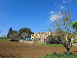a house and a field with a tree in the foreground at Apartament rural Can Ramon in Estanyol
