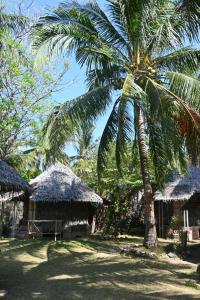 Duas cabanas com uma palmeira ao lado. em Bunga Jabe em Karimunjawa