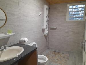 a bathroom with a sink and a toilet and a shower at L'escale du radier in Salazie