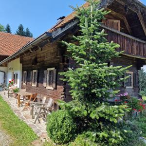a christmas tree in front of a log cabin at Moarhold Almhaus - Natur & Ruhe - Die Almhütte im Pöllauer Tal in Pöllau