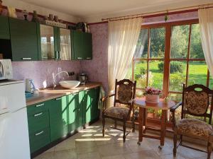 una cocina con armarios verdes y una mesa con sillas en Pokoj v zahradě, en Hazlov