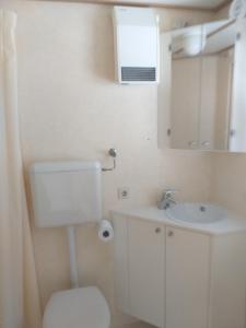 a bathroom with a toilet and a sink and a mirror at tuinfluiter 50 in Oisterwijk