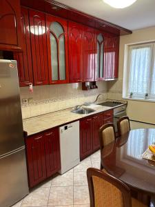 Kuhinja ili čajna kuhinja u objektu Central apartment Zemun