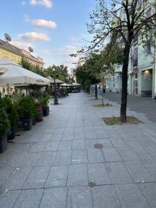 Okolina ili četvrt u blizini apartmana
