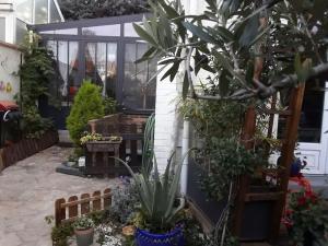 a garden with plants in a greenhouse at Un nid près de Paris in Rueil-Malmaison