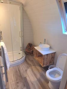 a bathroom with a shower and a toilet and a sink at ThePod in Penzance