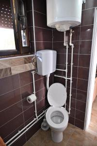 a small bathroom with a toilet and a sink at Oplenacki smestaj Milica in Topola