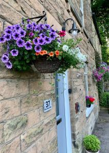 a basket of flowers hanging on a brick wall at Ellen House Bed and Breakfast in Matlock