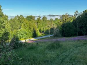 un champ de fleurs violettes et une route dans l'établissement Klassisk villa Ljungaverk Borrbodsvägen 1, à Ljungaverk