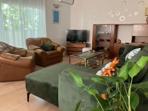 ein Wohnzimmer mit 2 Sofas und einem TV in der Unterkunft Quite beautiful apartment in the Split Neda with 4bedrooms in Solin