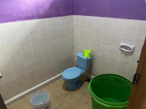 baño con aseo azul y cubo verde en Tresno Sembalun, en Sembalun Lawang
