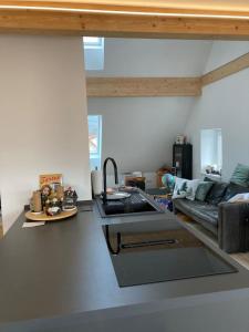a kitchen with a sink and a living room at Neues Penthouse-Loft mit KONUSKarte für gratis ÖPNV in Ehrenkirchen