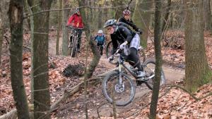 希倫多恩的住宿－Huize Villa Vos，三人骑着自行车在树林里的小径上