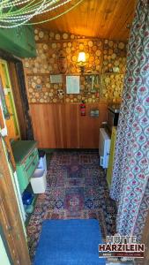 Zorge的住宿－Arode Hütte Harzilein - Romantic tiny house on the edge of the forest，客房内设有带水槽和卫生间的浴室