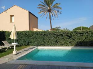 a swimming pool in front of a house with a palm tree at Residence Salinelle Beach Villa Lipari 1 in Lascari