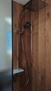 La salle de bains est pourvue d'une douche et d'un mur en bois. dans l'établissement Ferienwohnung Spielzeughof, à Seiffen