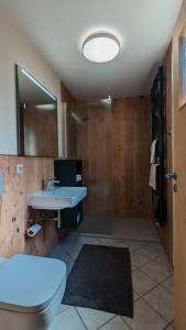 La salle de bains est pourvue d'un lavabo et de toilettes. dans l'établissement Ferienwohnung Spielzeughof, à Seiffen