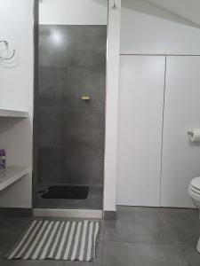 a shower stall in a bathroom with a toilet at El Refugio Nuevo y cómodo depto Excelente ubicacion in San Carlos de Bariloche +1 photo
