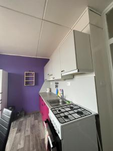 a kitchen with a stove and a purple wall at Apartmán Uvalská in Karlovy Vary